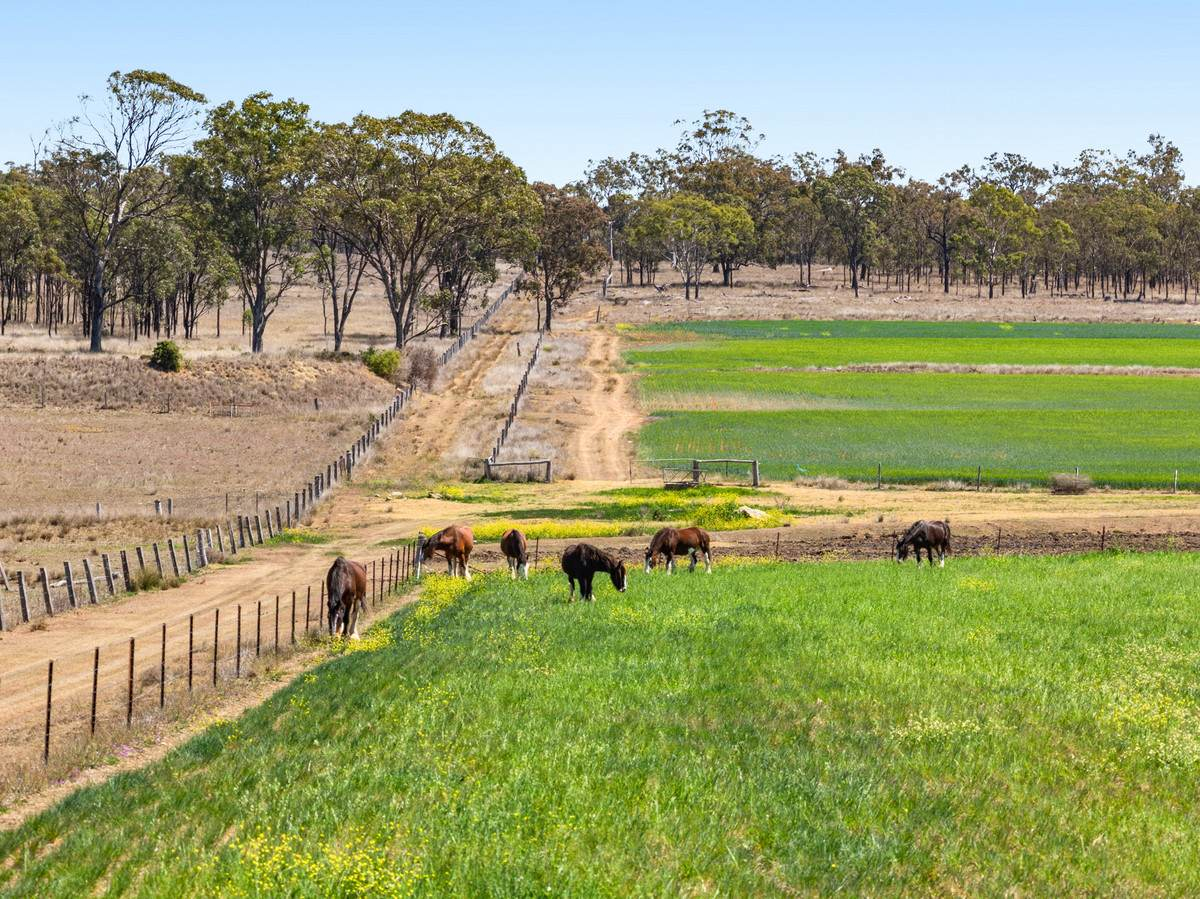 mixed farm for sale QLD