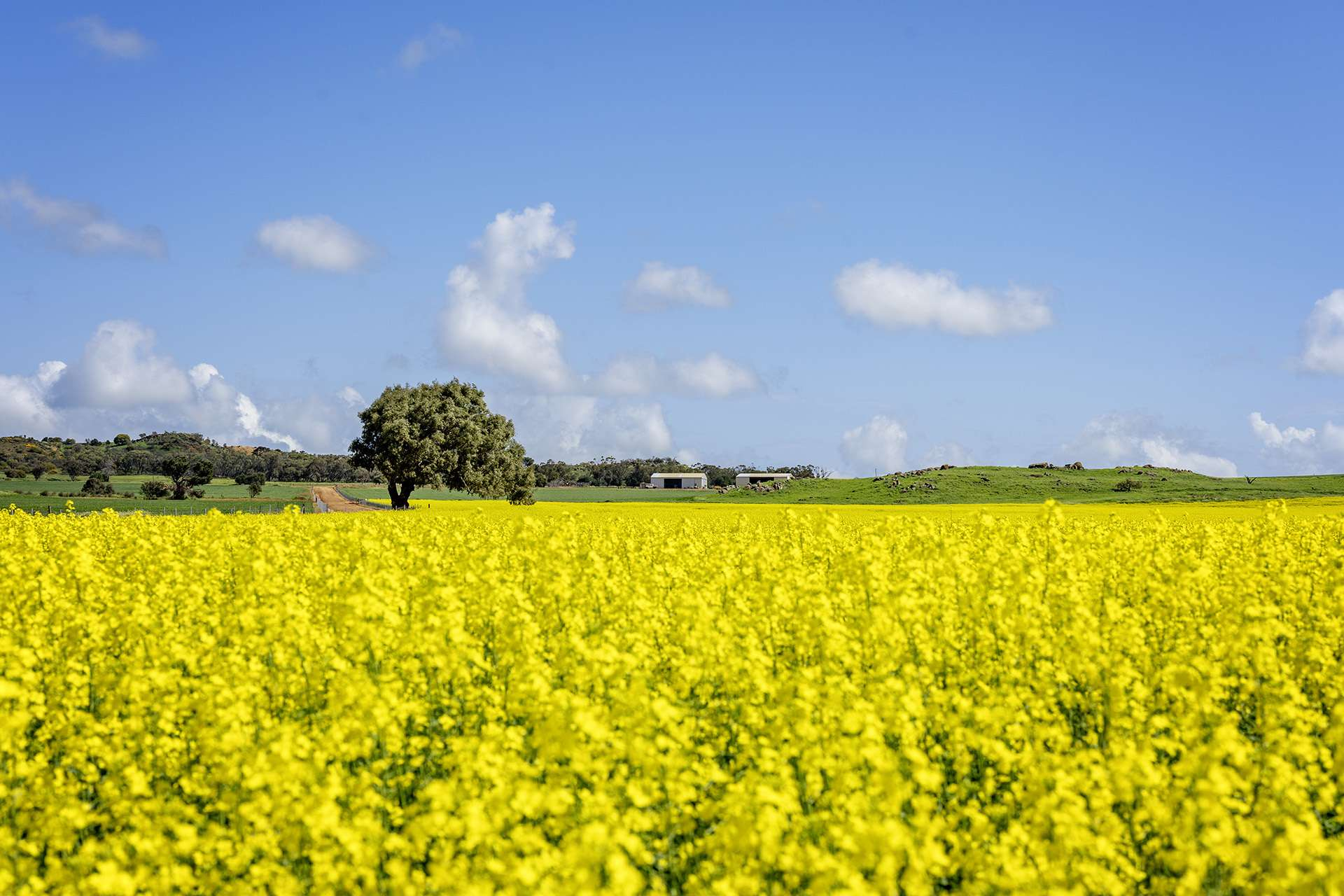 rural property for sale WA