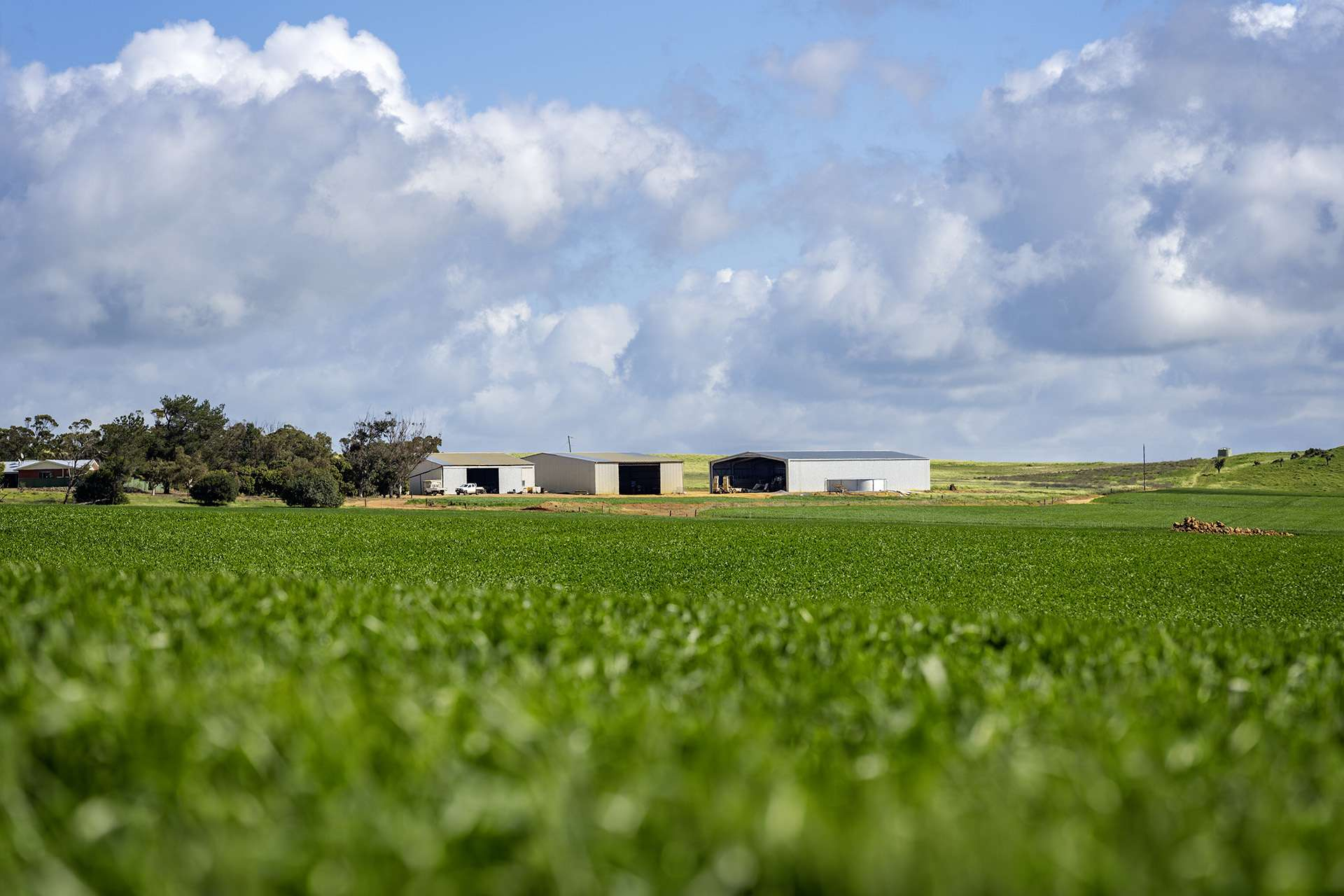 rural property for sale WA