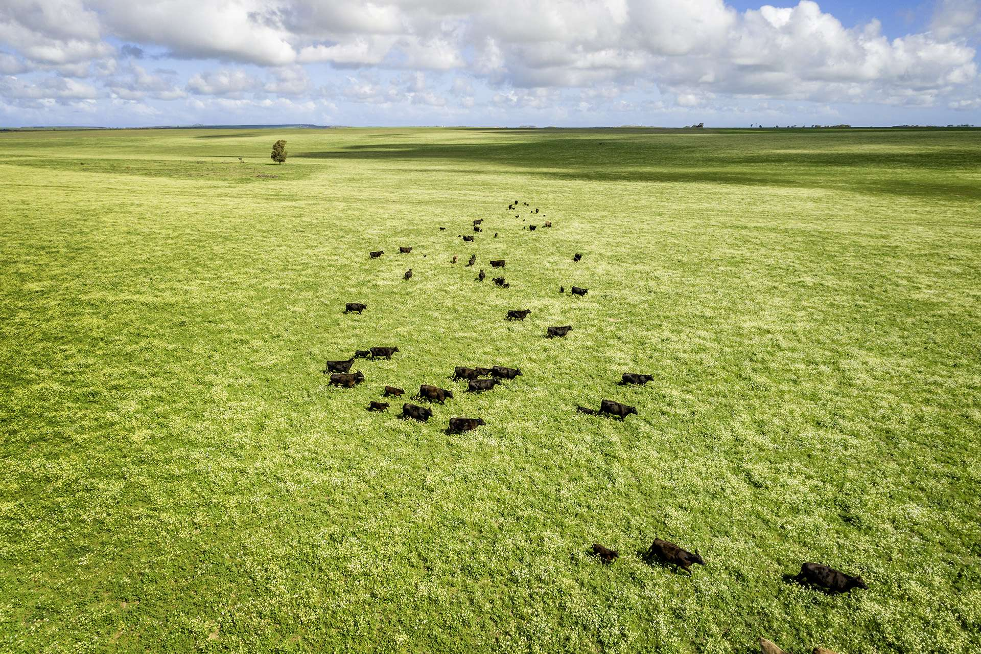 rural property for sale WA