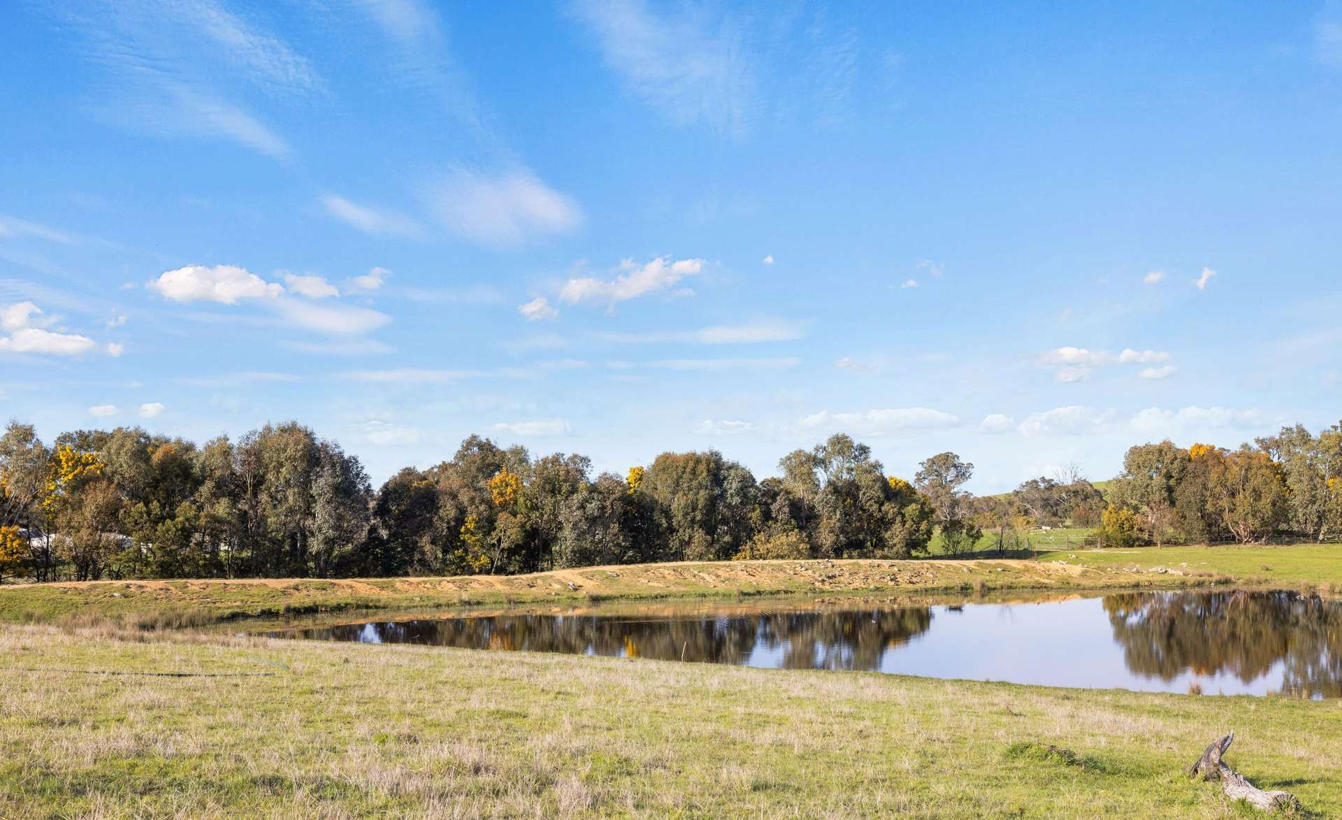 rural property for sale NSW