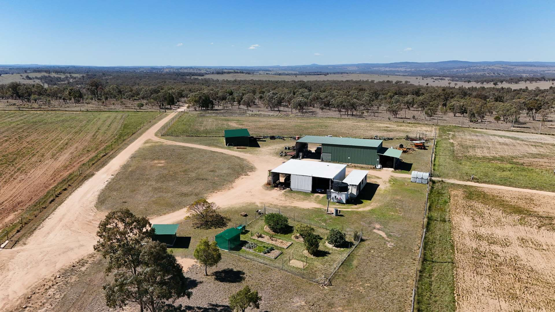 orchard for sale QLD
