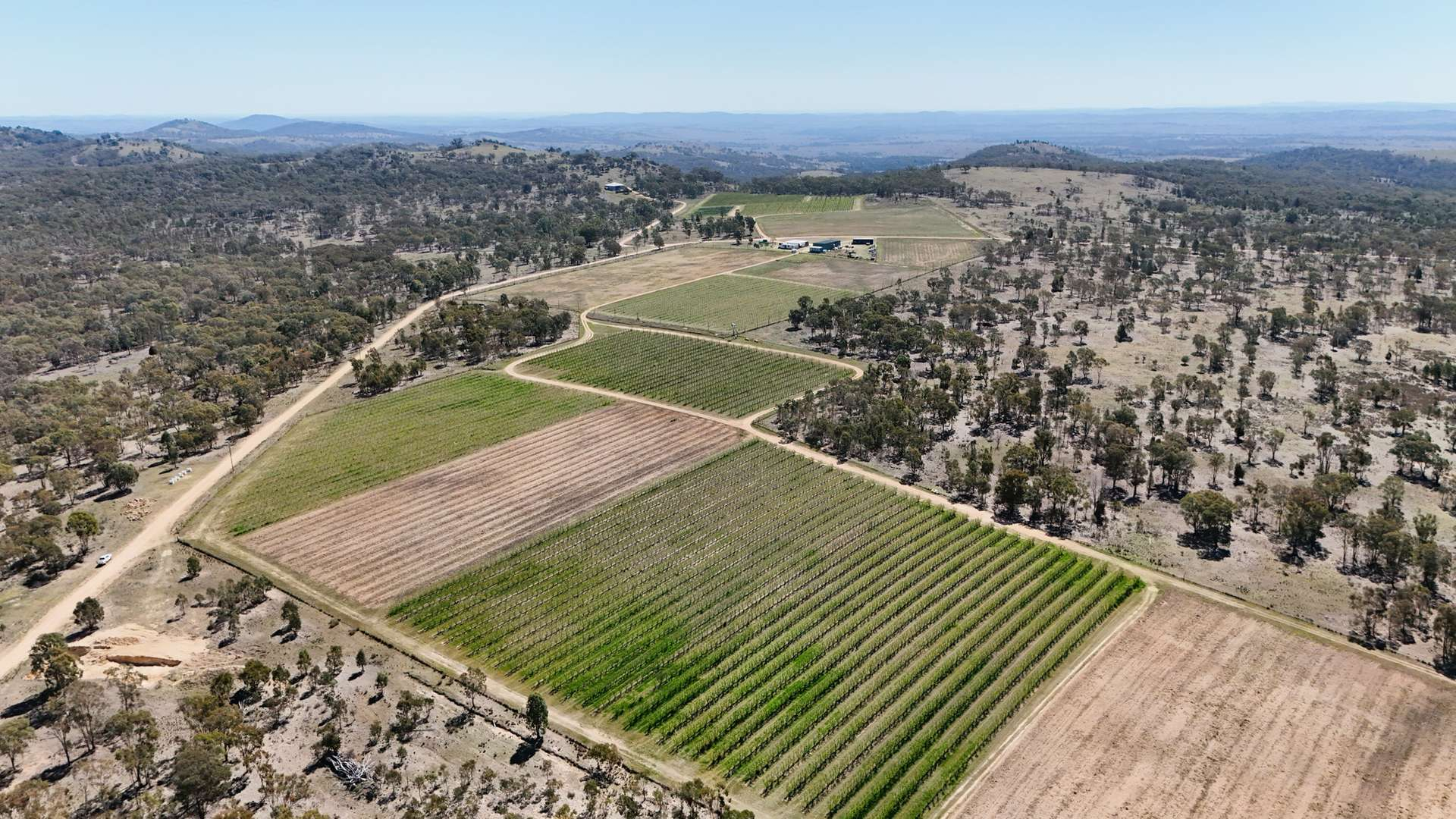 orchard for sale QLD