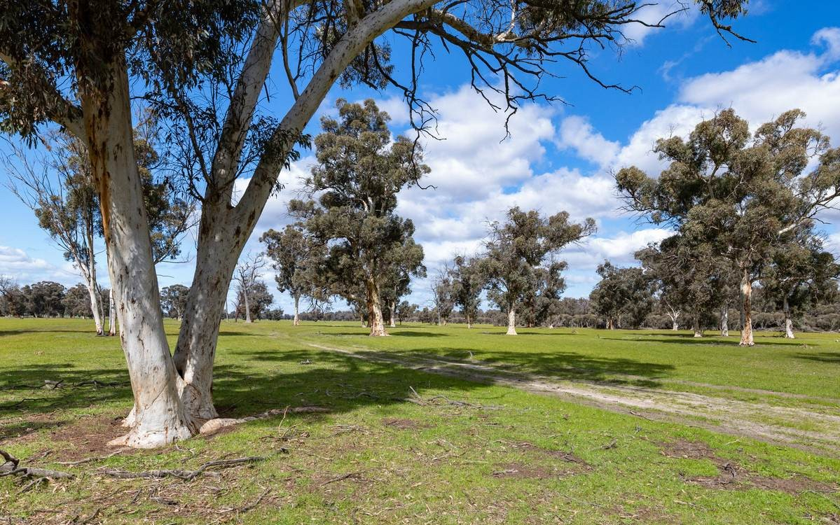 rural property for sale WA