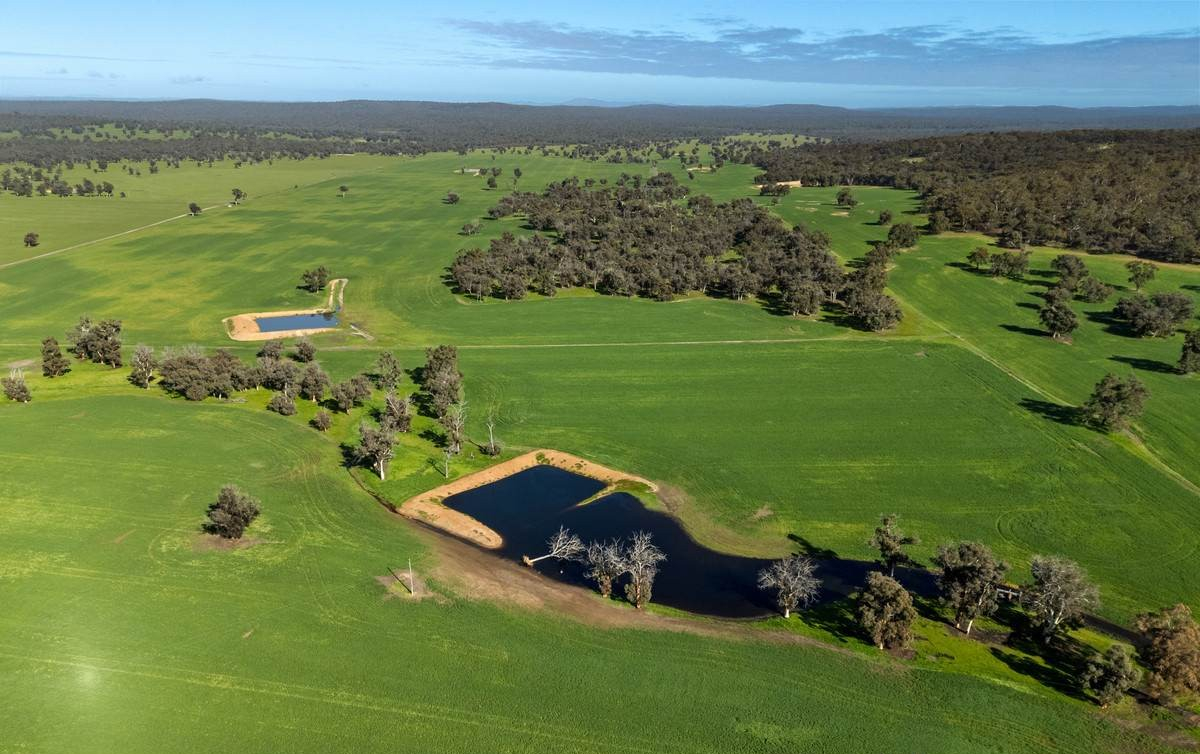 rural property for sale WA