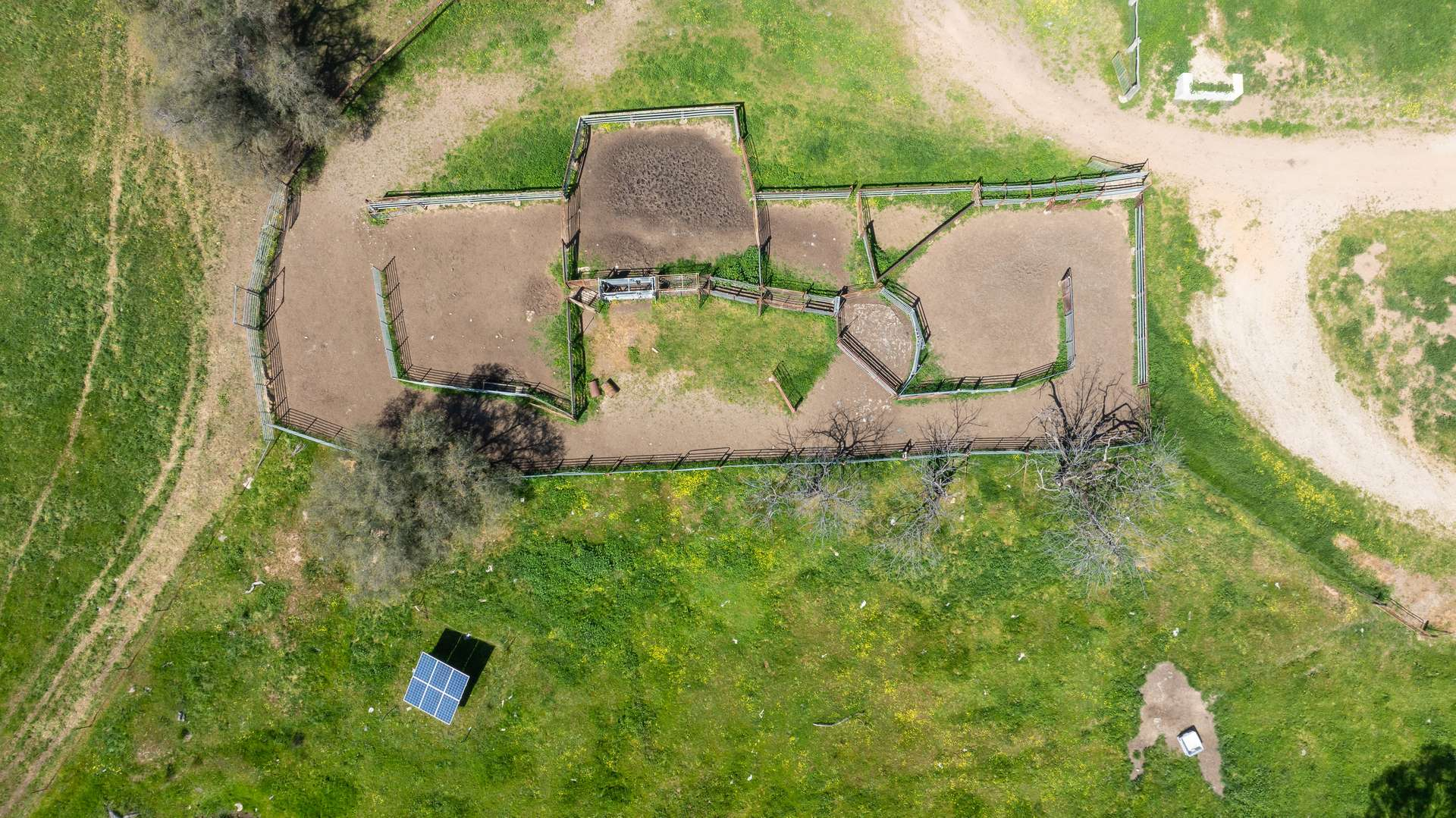 cattle property for sale NSW