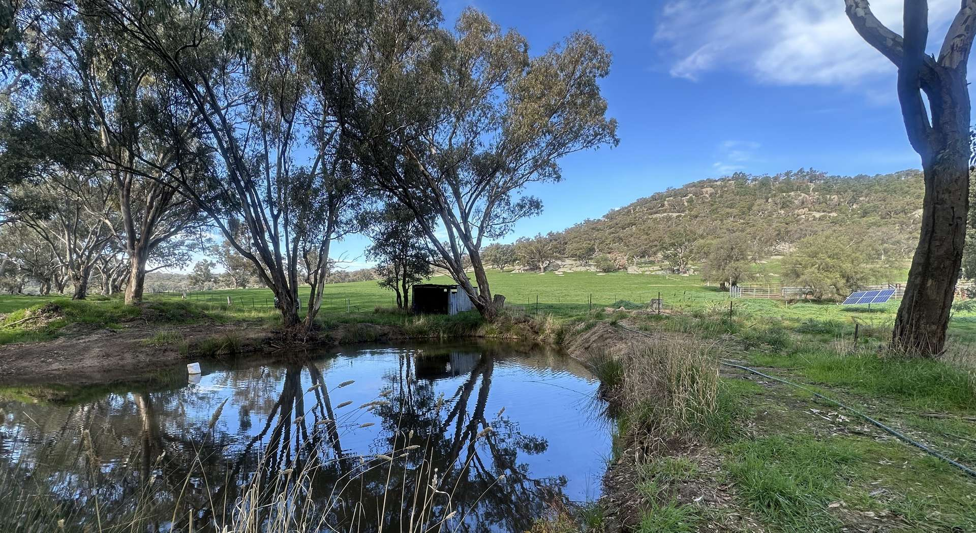cattle property for sale NSW