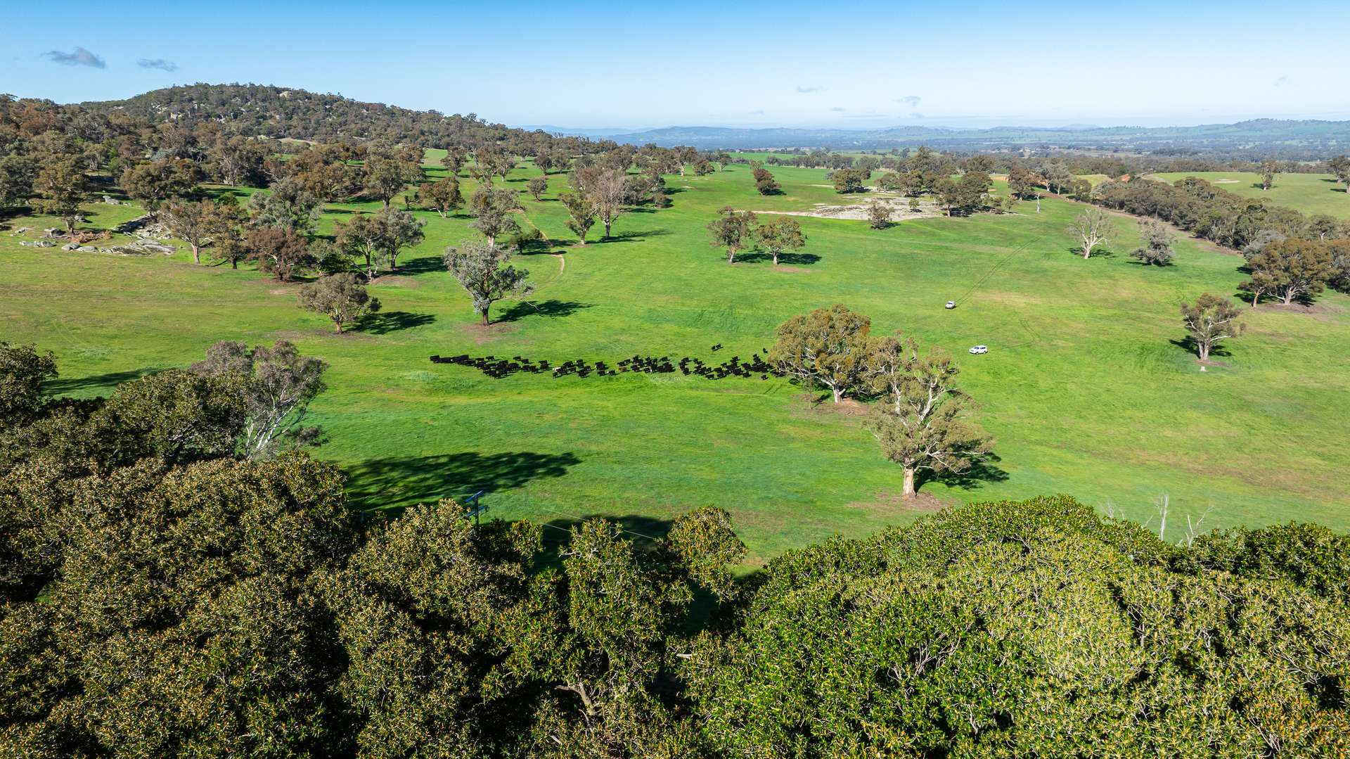 cattle property for sale NSW