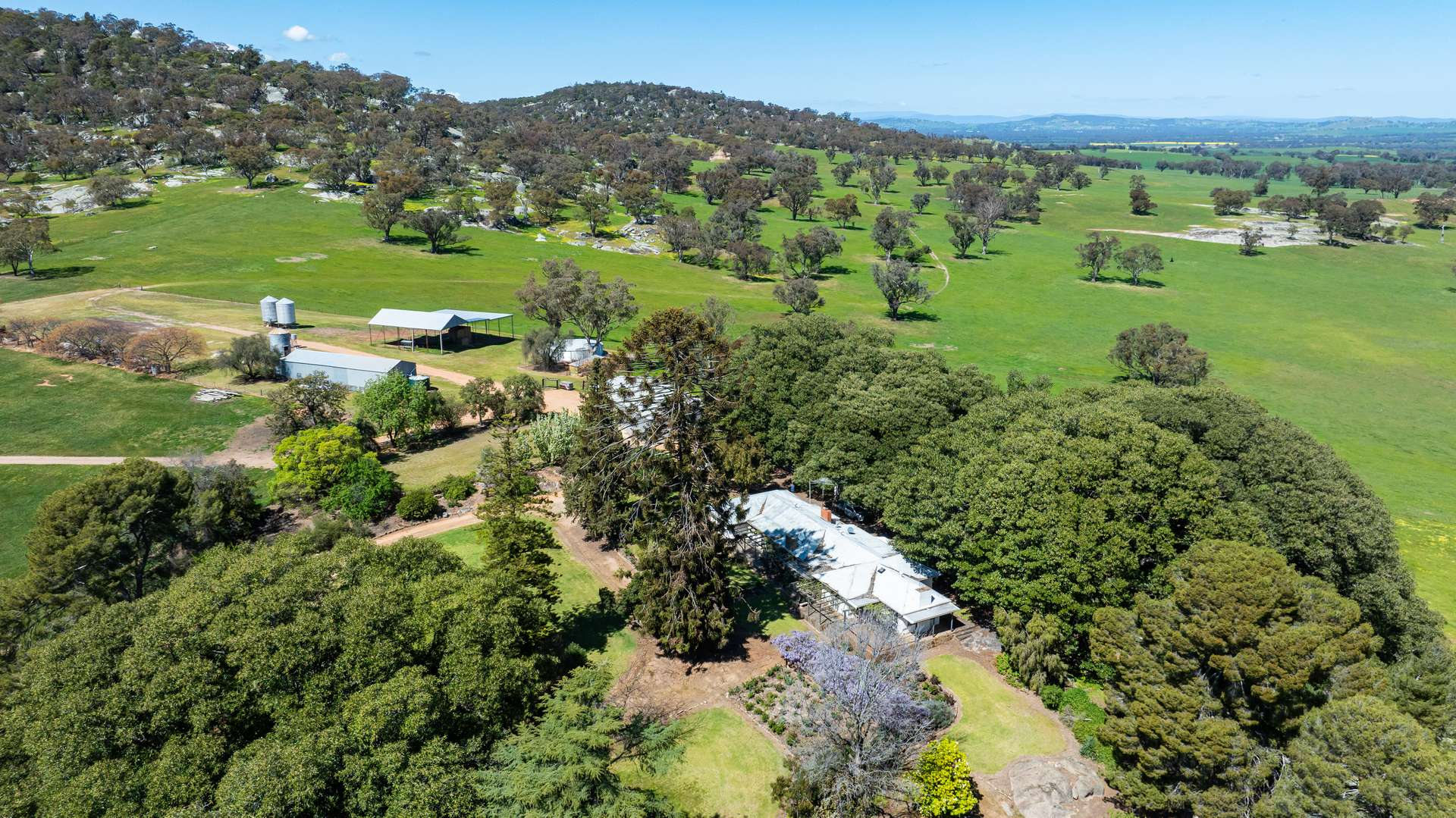 cattle property for sale NSW