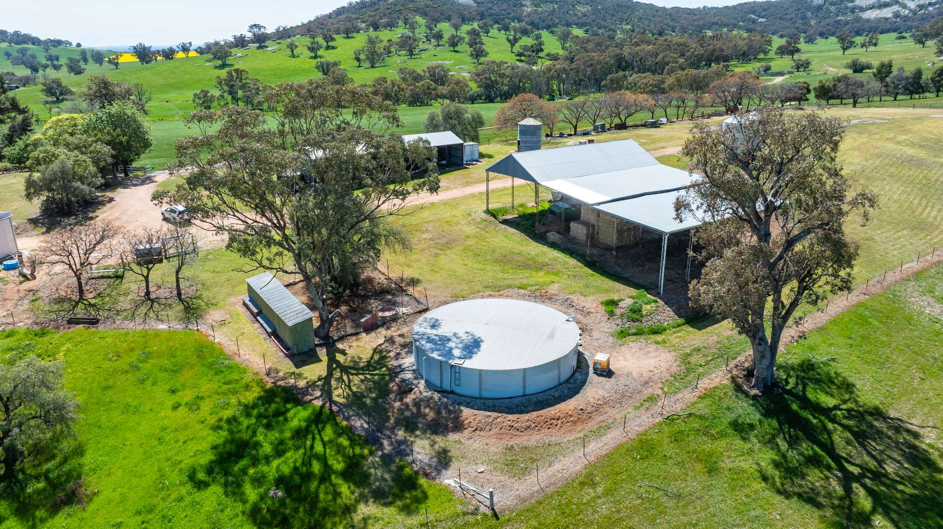 cattle property for sale NSW