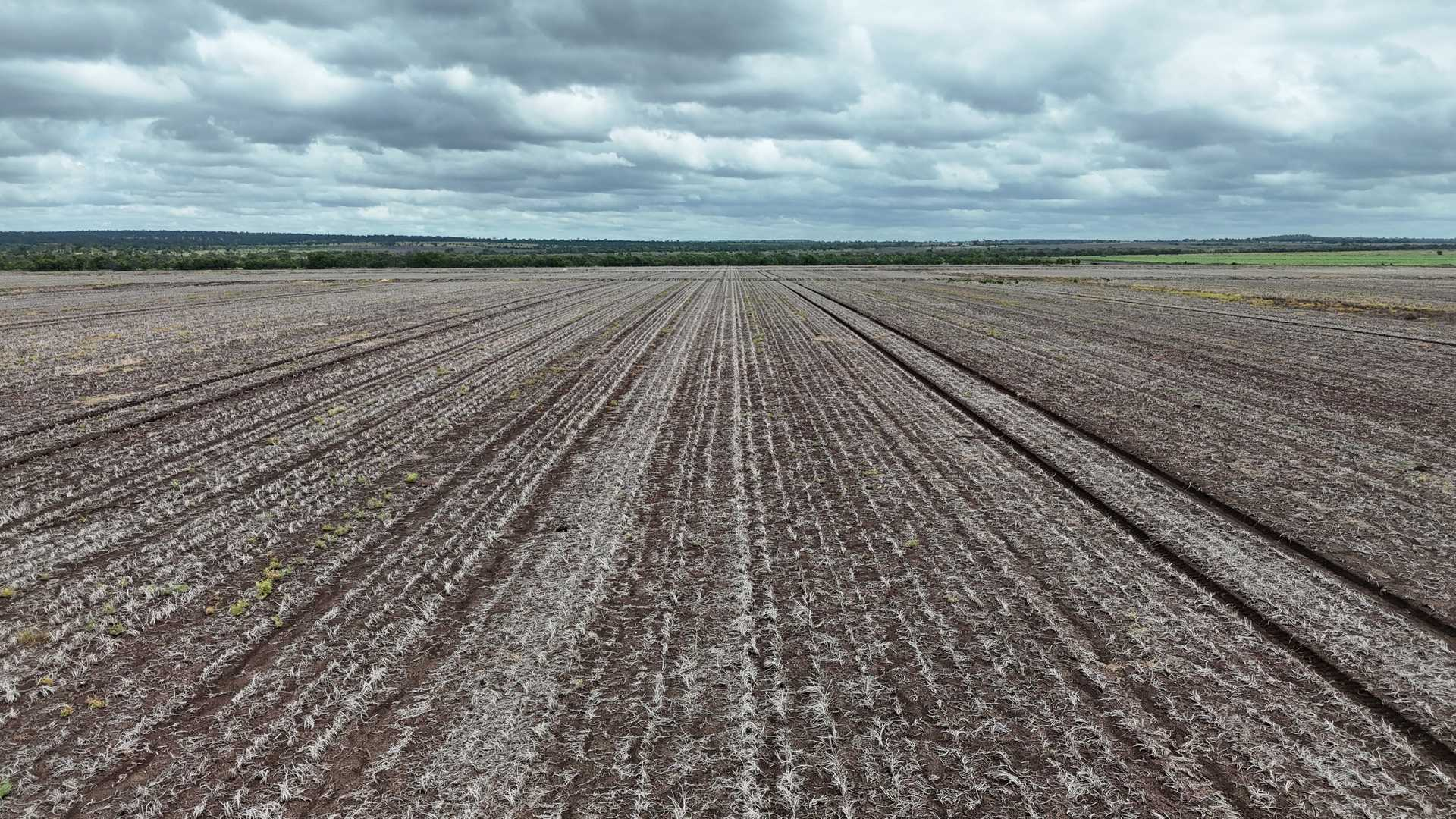 Farm For Sale Central QLD