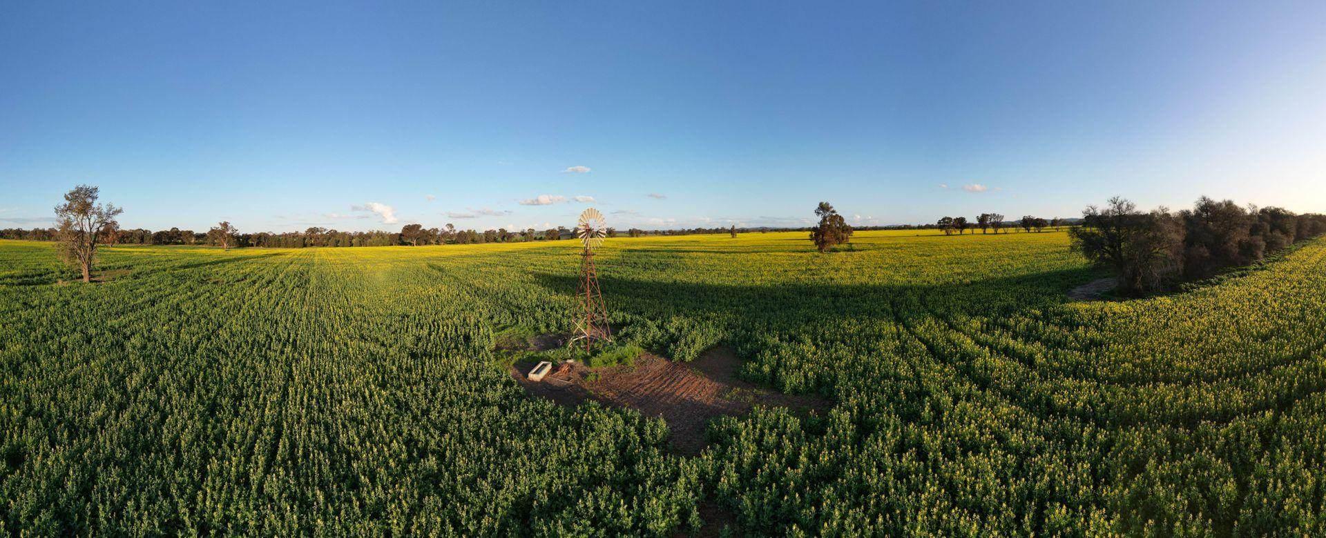 property for sale Riverina NSW