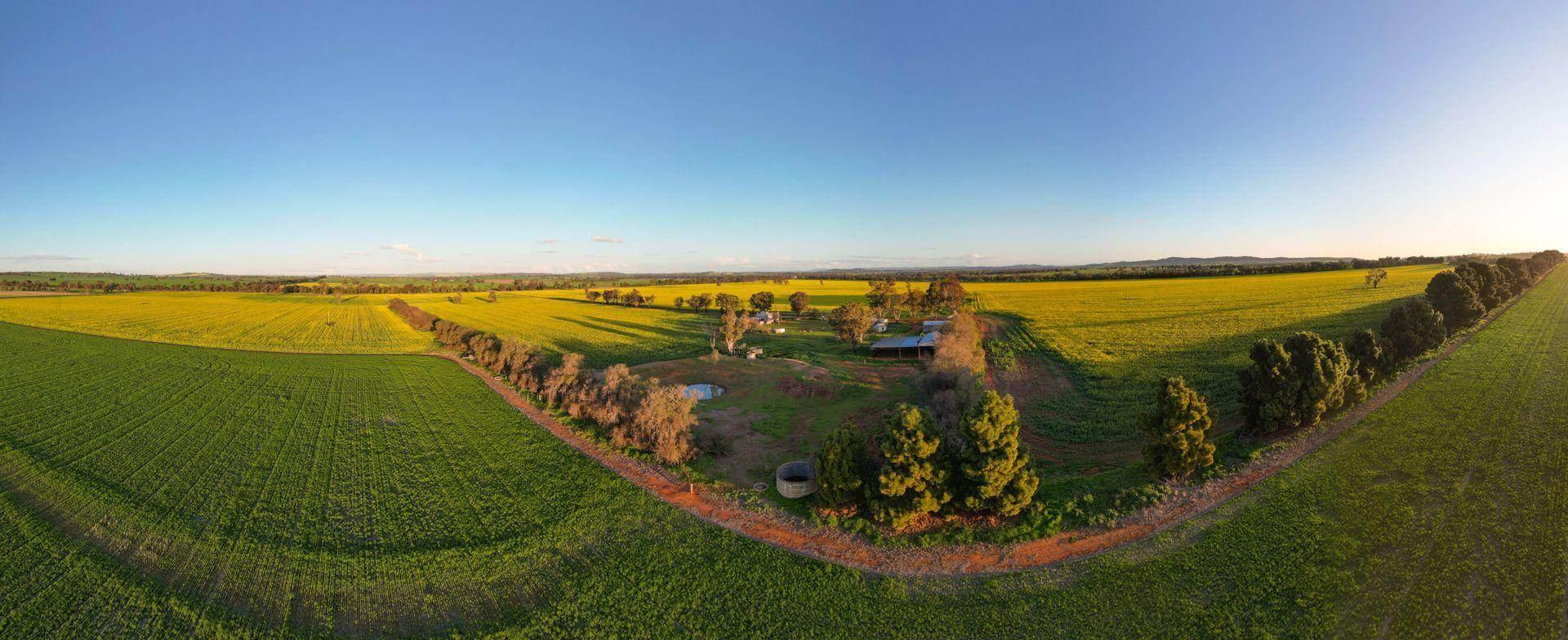 property for sale Riverina NSW