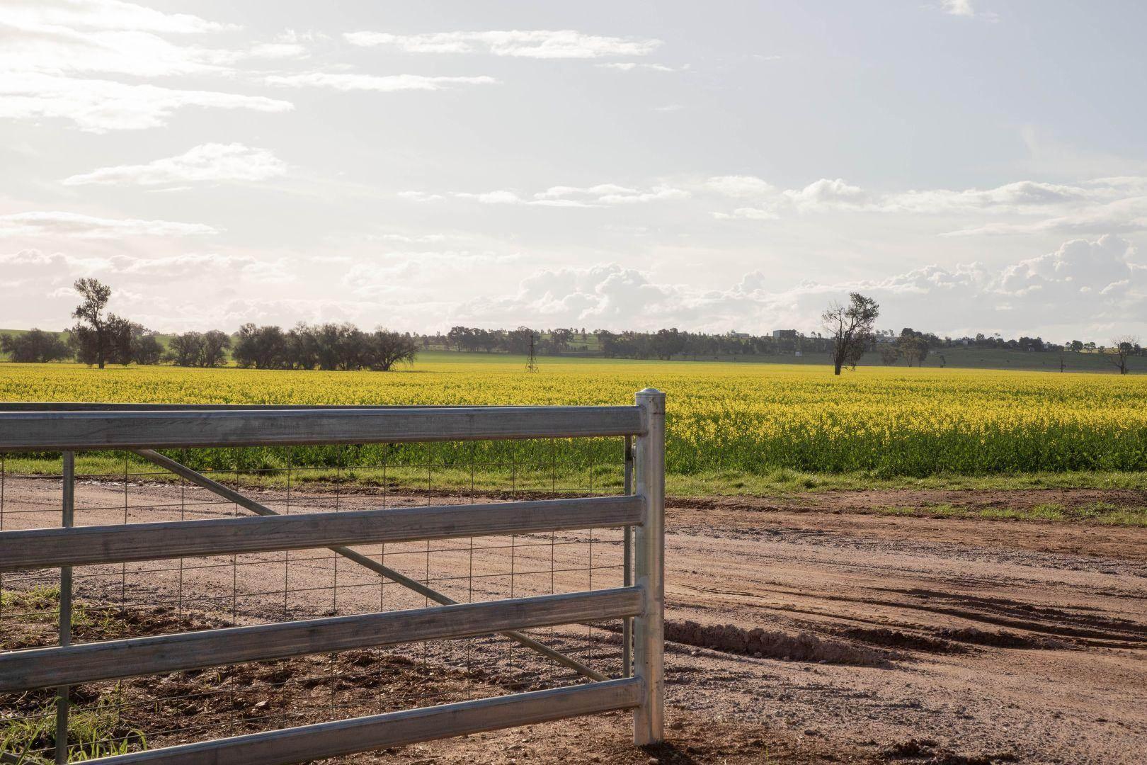 property for sale Riverina NSW