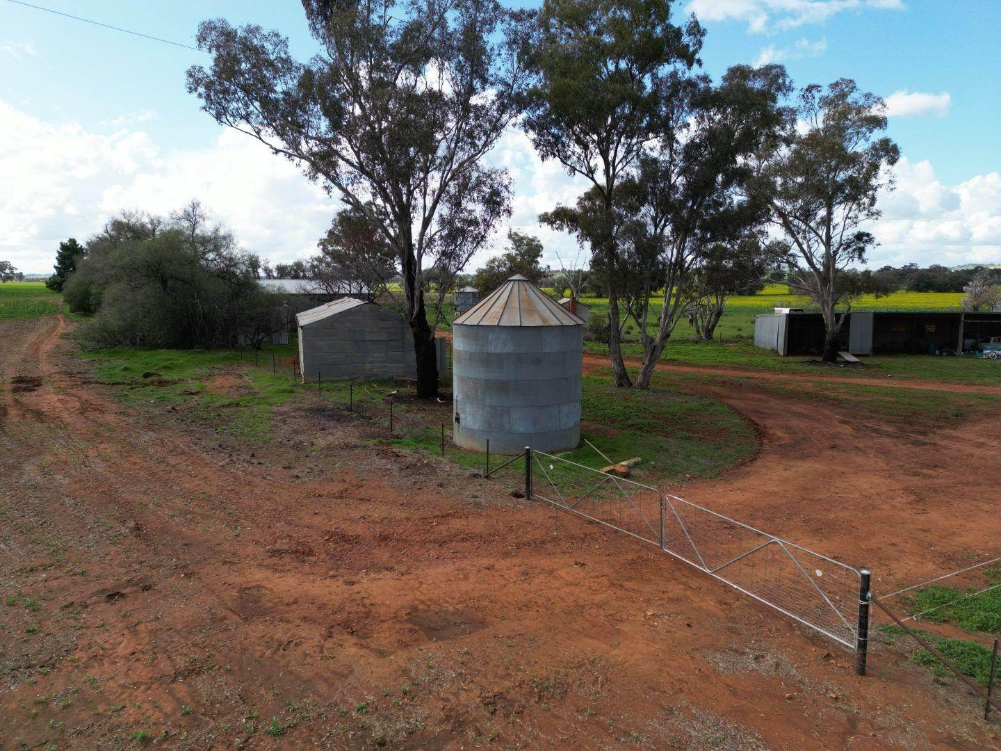 property for sale Riverina NSW