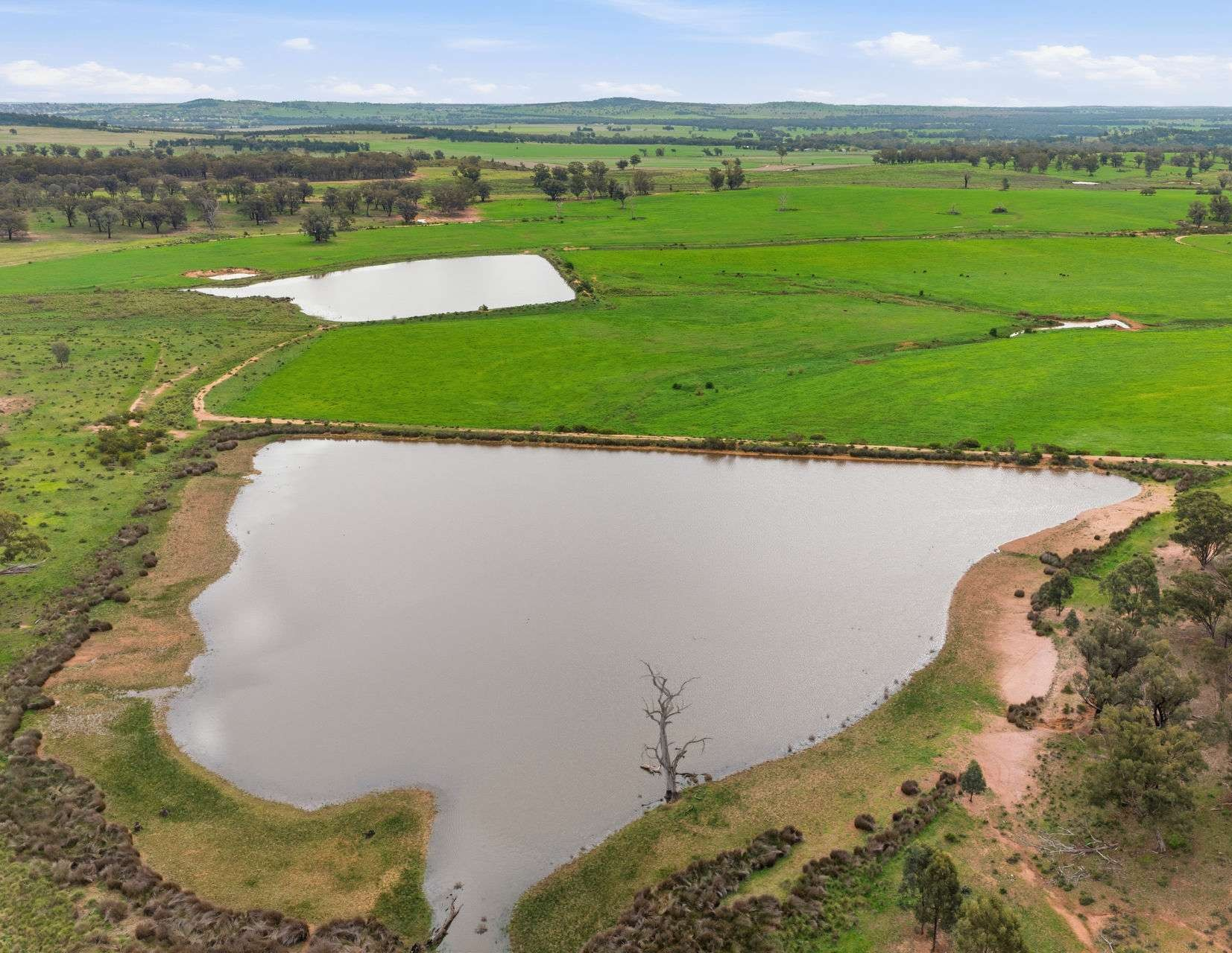 cattle property for sale NSW