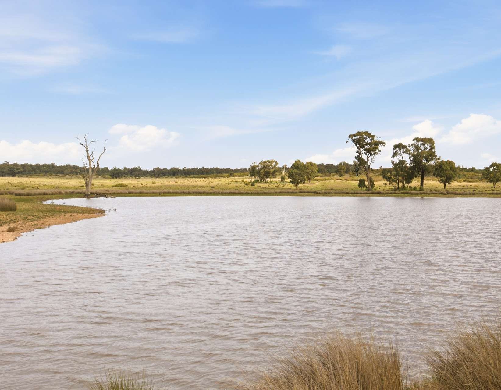 cattle property for sale NSW