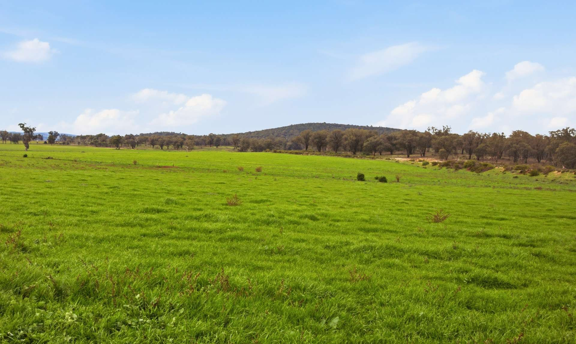 cattle property for sale NSW