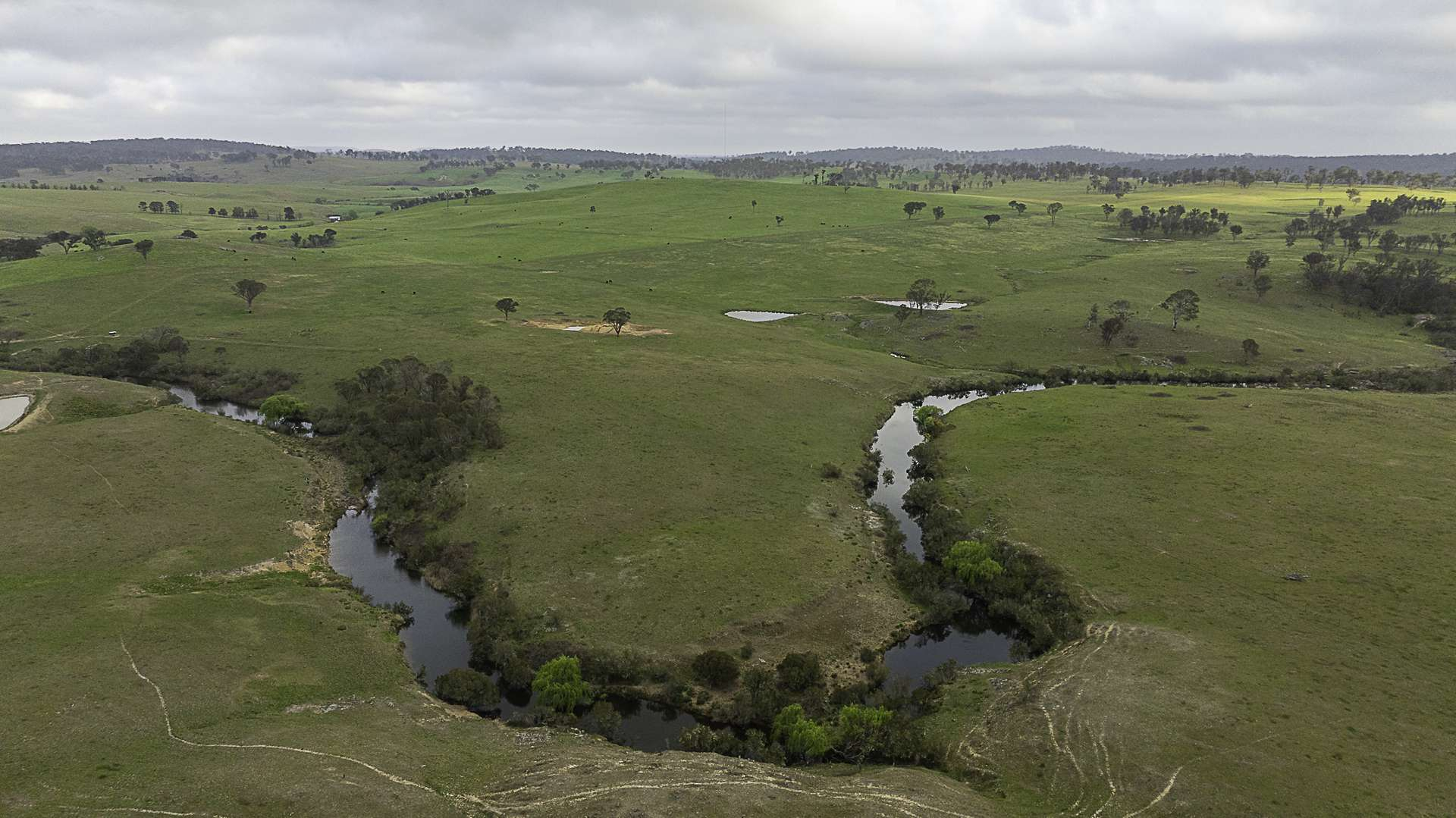 cattle property for sale NSW