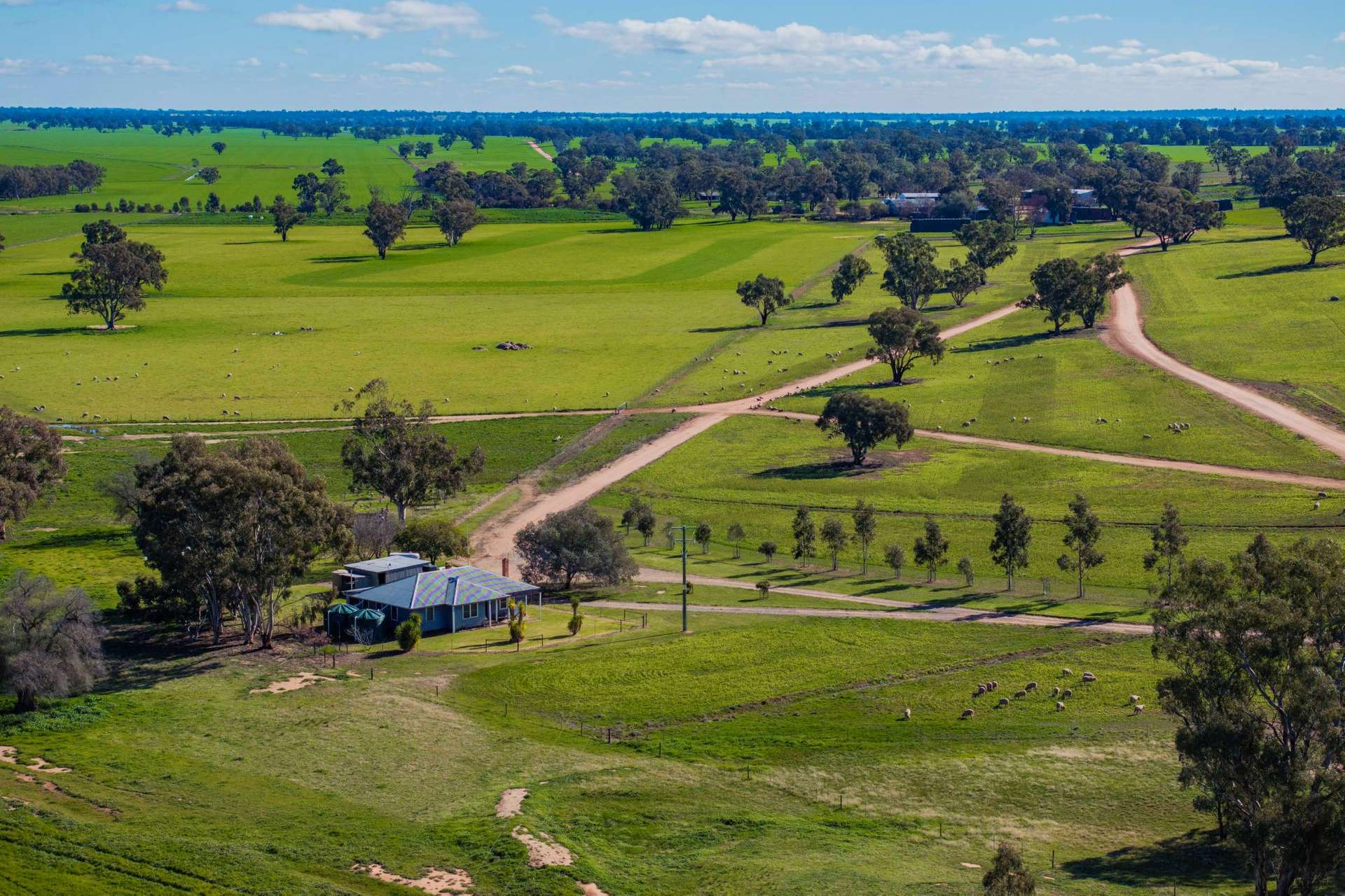 Mixed Farm For Sale NSW