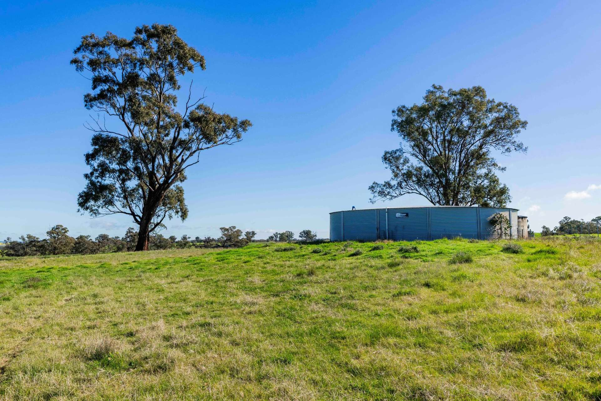 Mixed Farm For Sale NSW