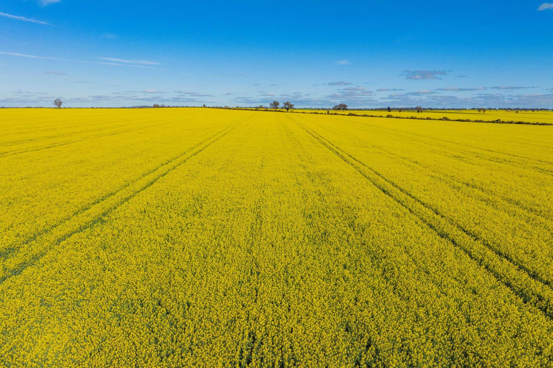 Mixed Farm For Sale NSW