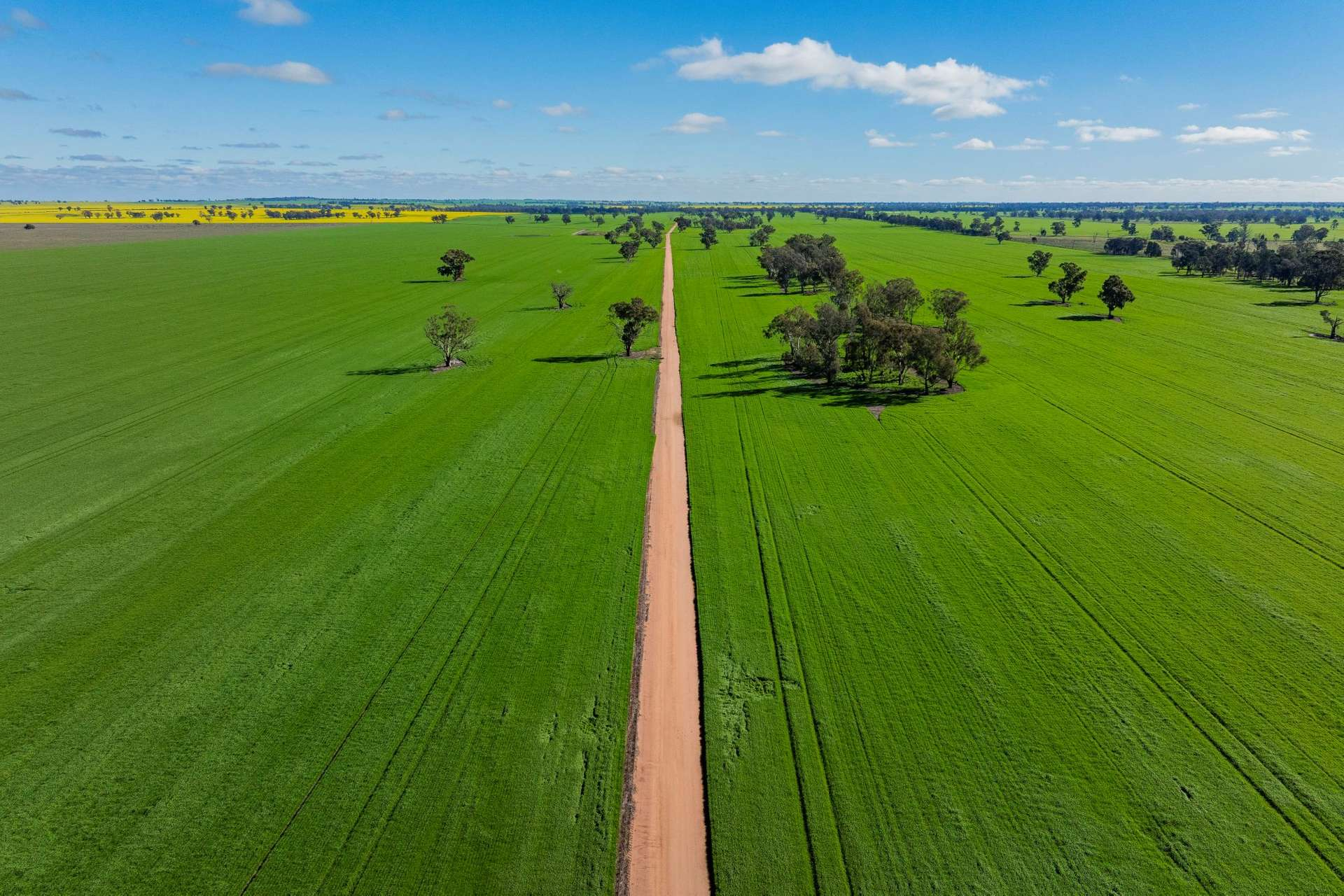 Mixed Farm For Sale NSW