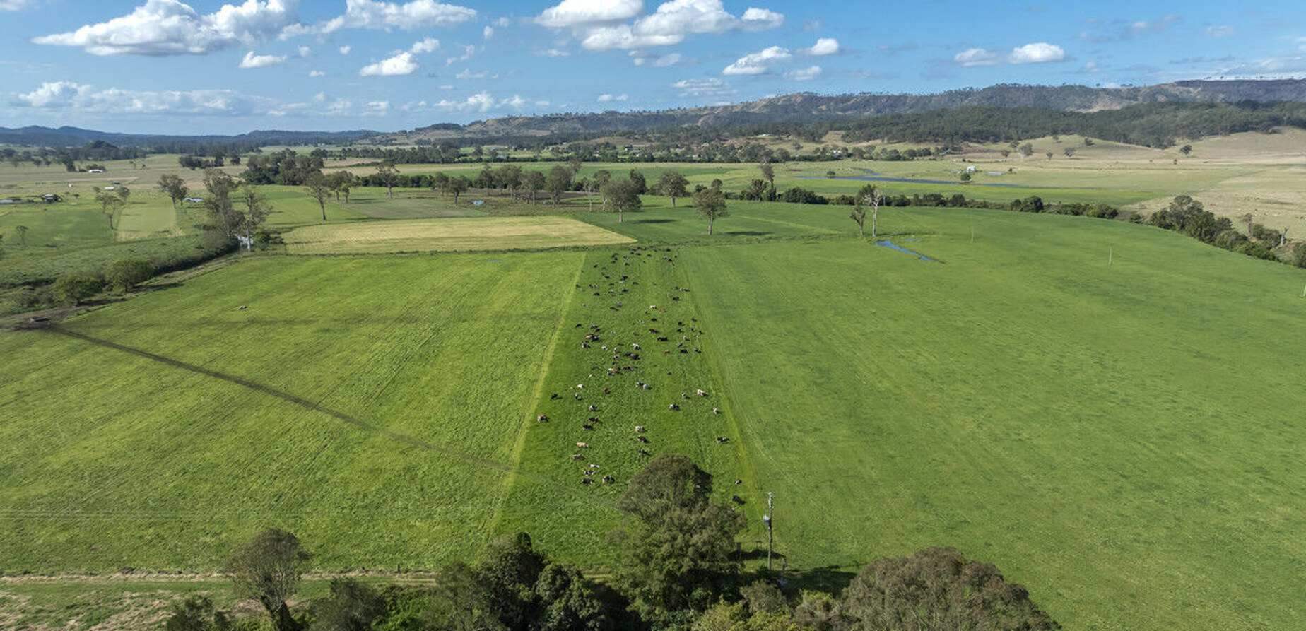 Dairy Farm For Sale South East QLD