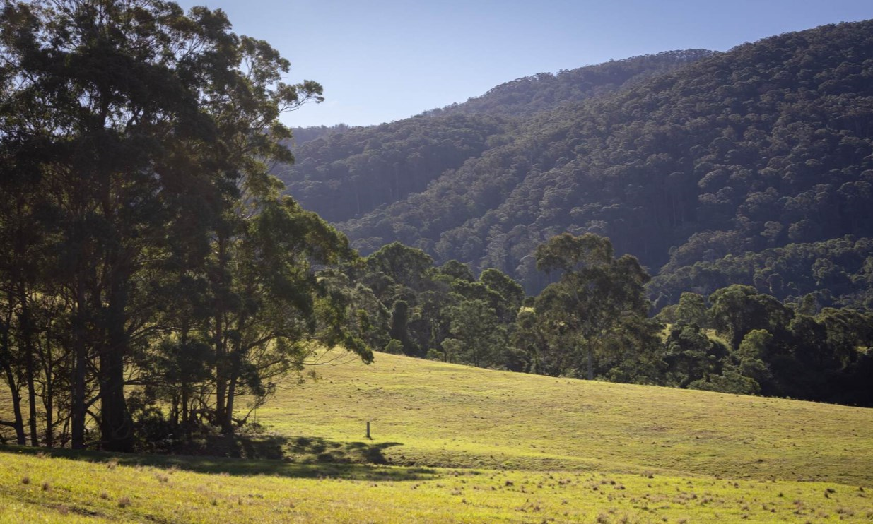 Rural Property For Sale NSW South Coast