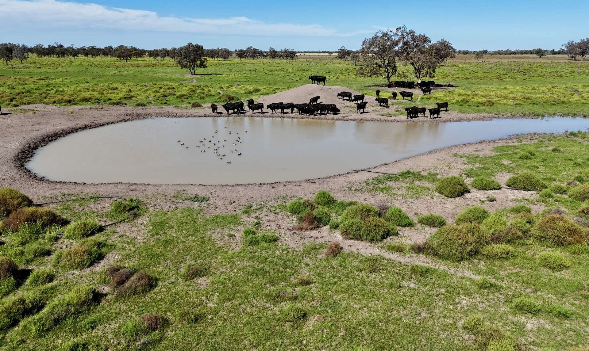 Farm For Sale Northern NSW