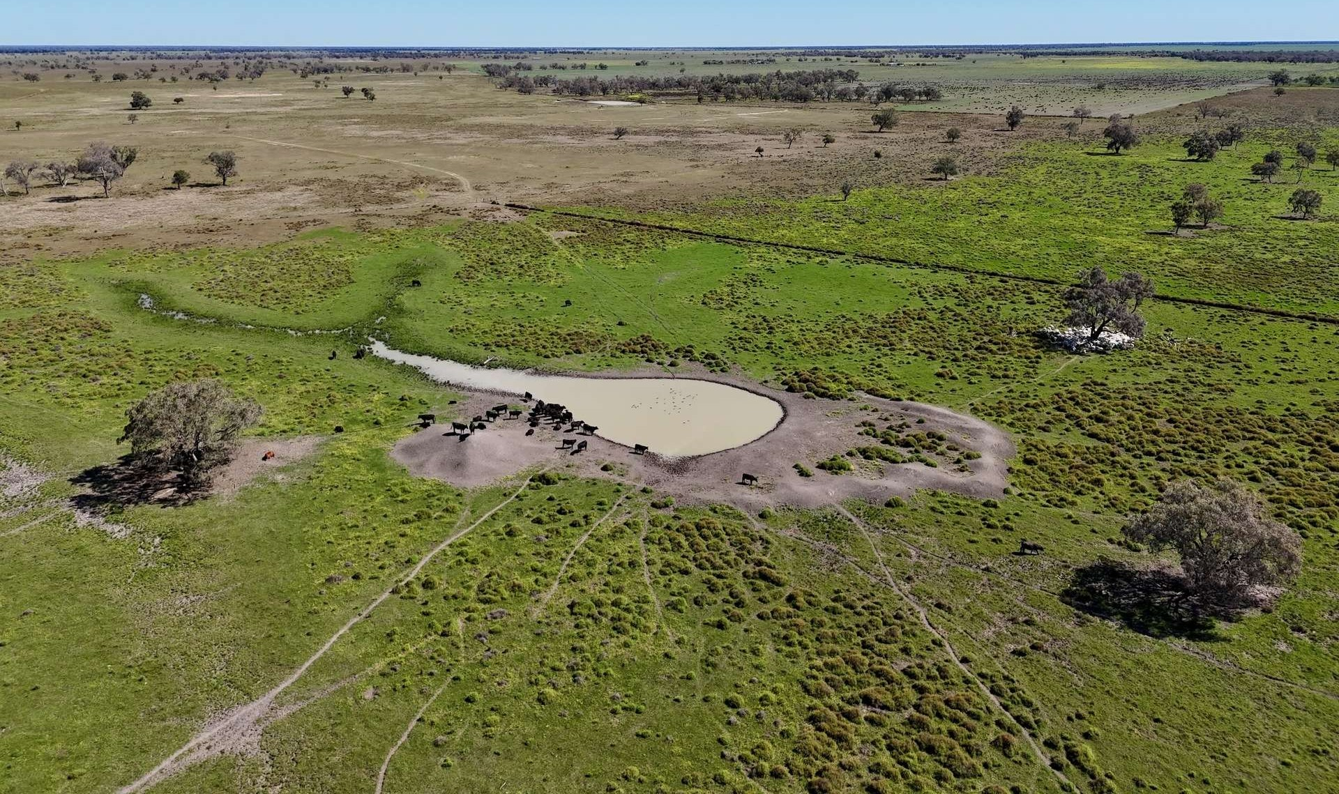 Farm For Sale Northern NSW