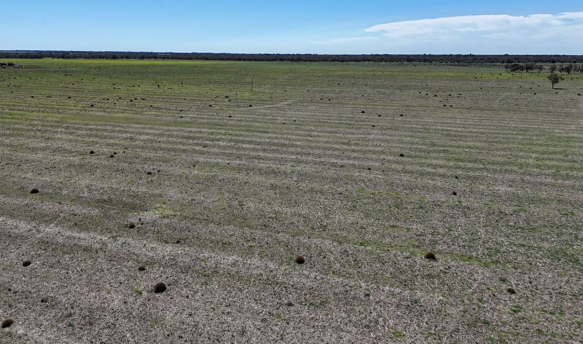 Farm For Sale Northern NSW