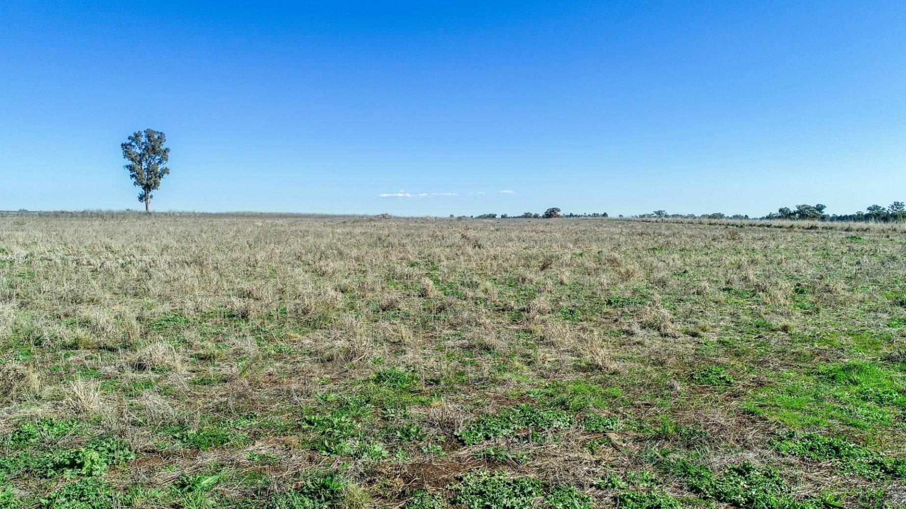 Rural Property For Sale Central West NSW