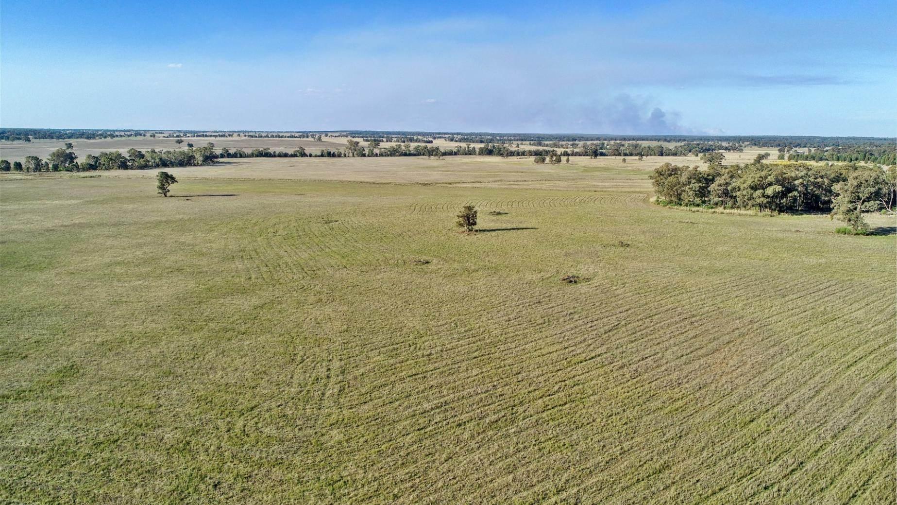 Rural Property For Sale Central West NSW