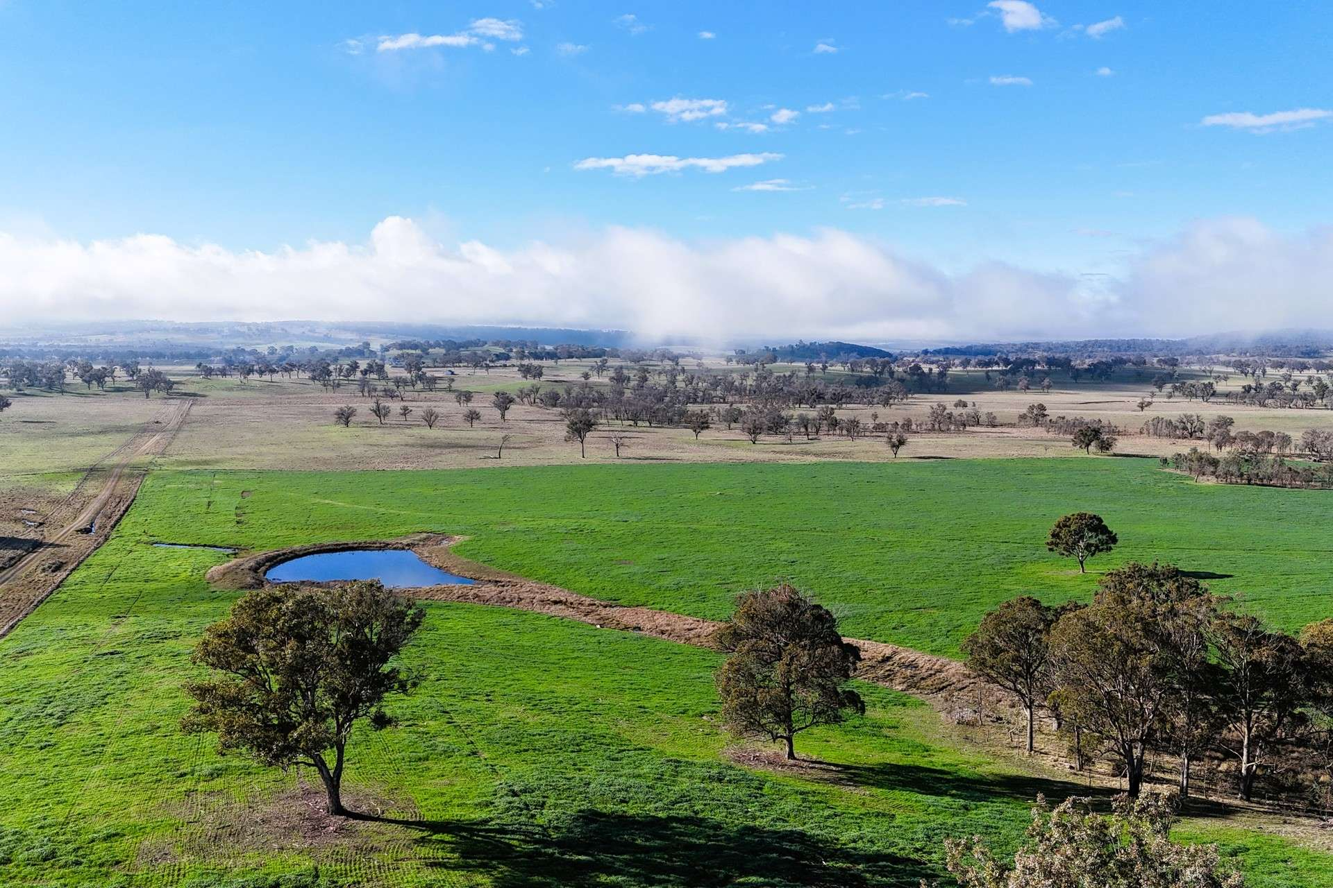 cattle property for sale NSW