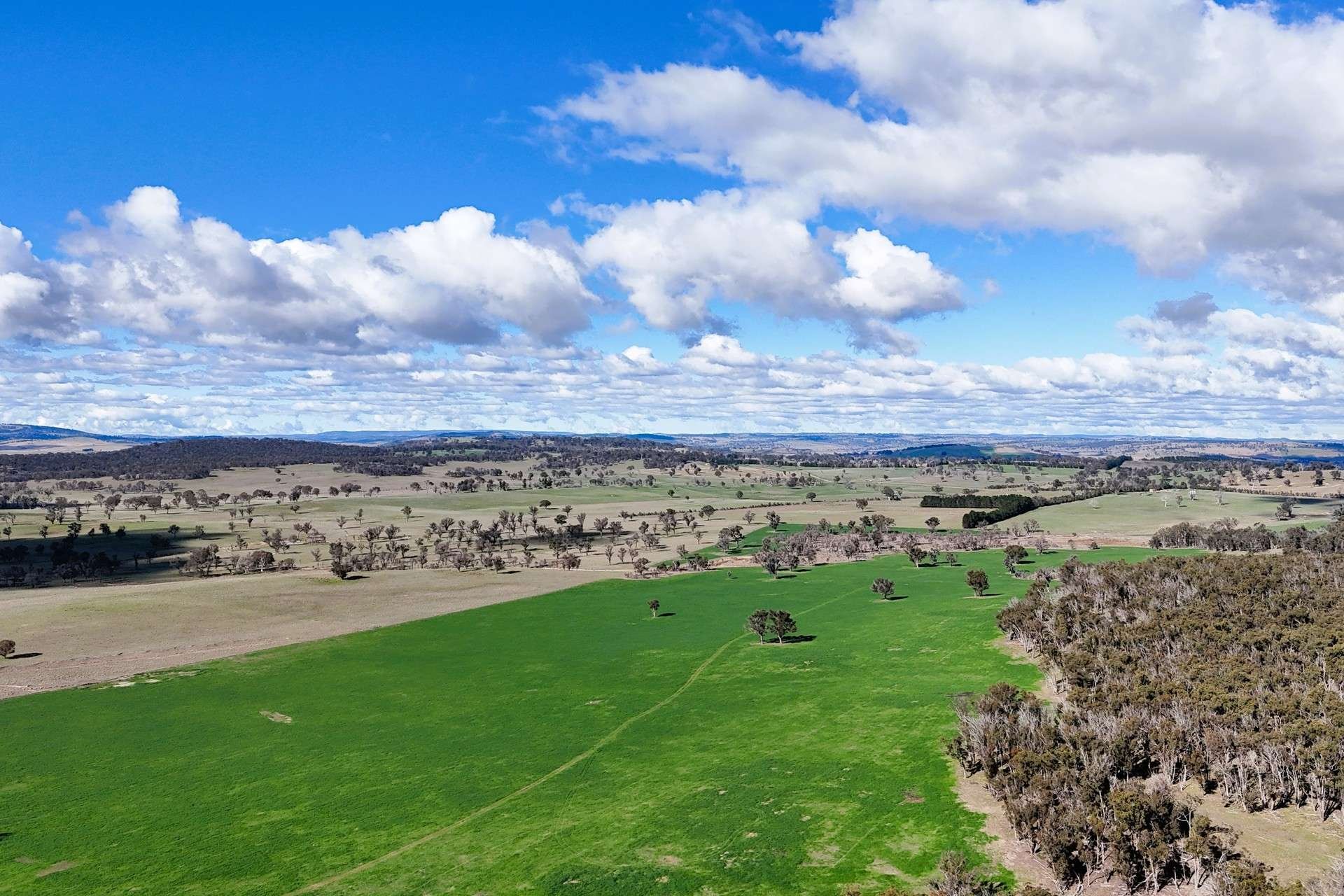 cattle property for sale NSW