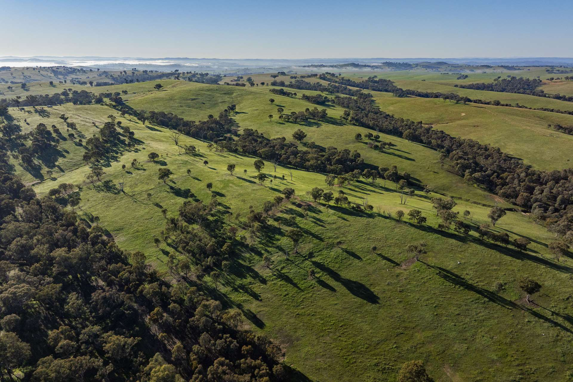 Rural Property For Sale NSW