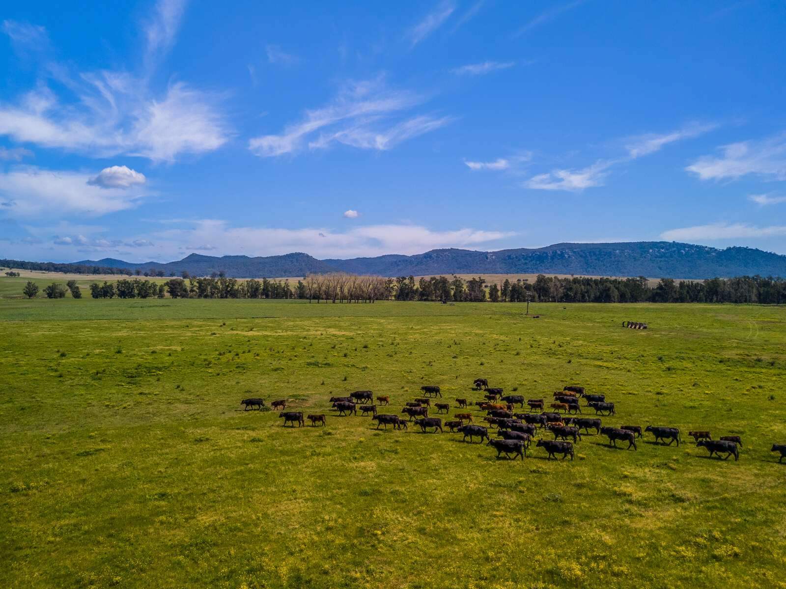 Rural Property For Sale Hunter Valley