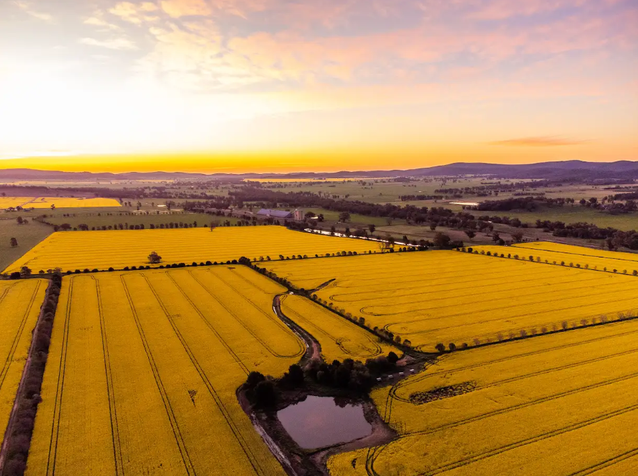 farm for sale NSW 