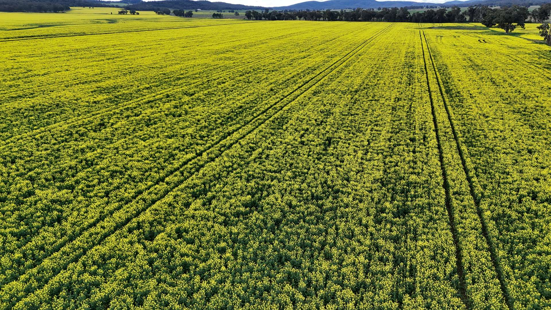 farm for sale NSW 