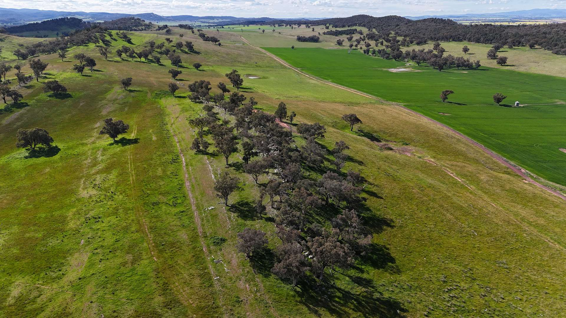 farm for sale NSW 