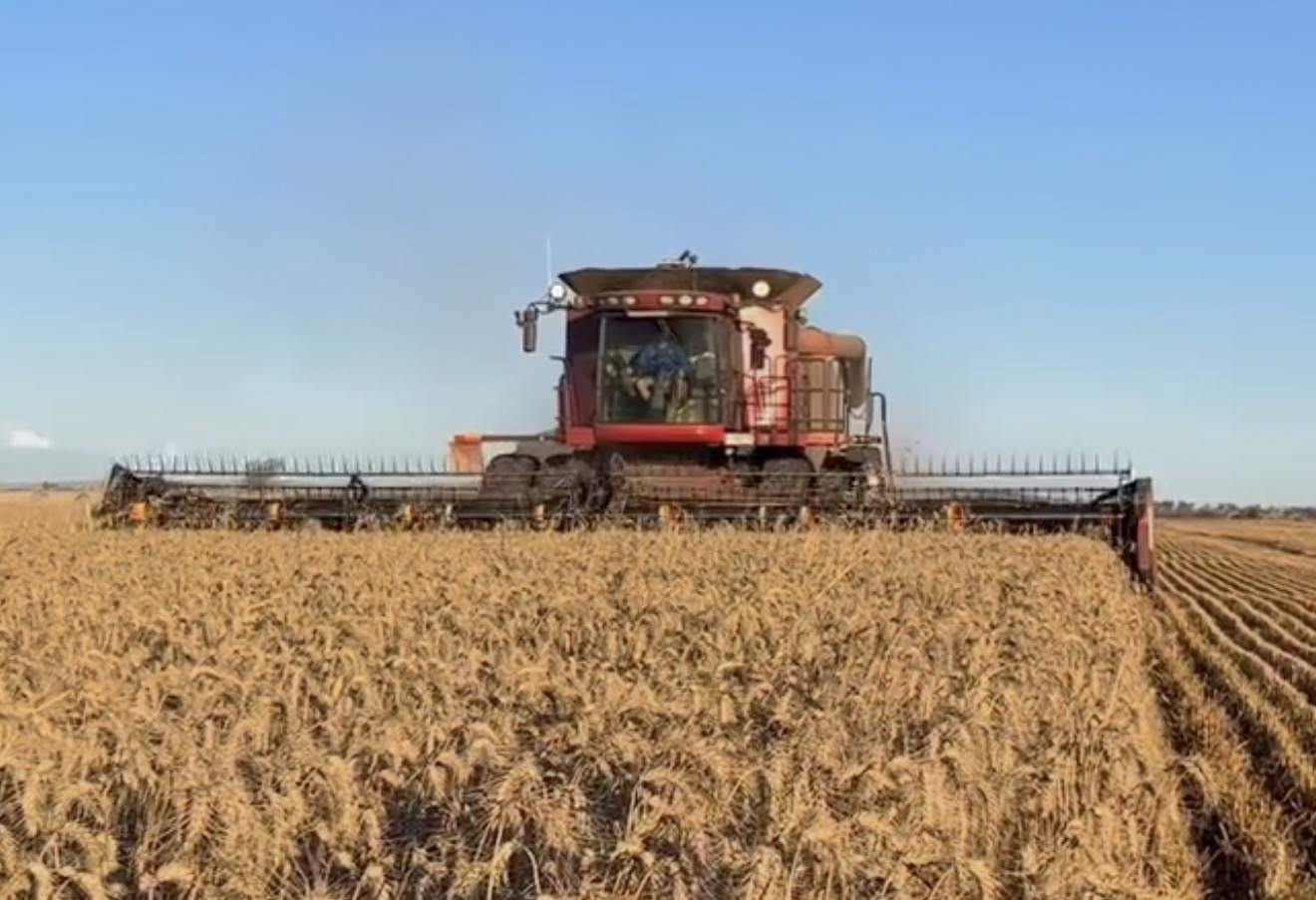 farm for sale NSW 