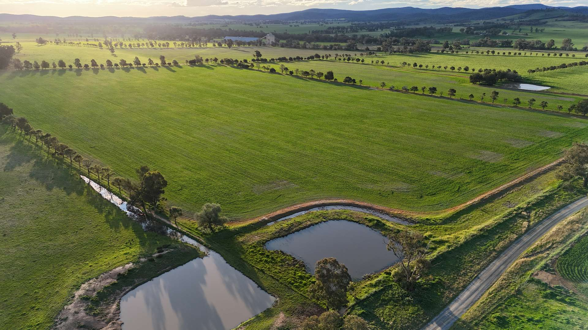 farm for sale NSW 