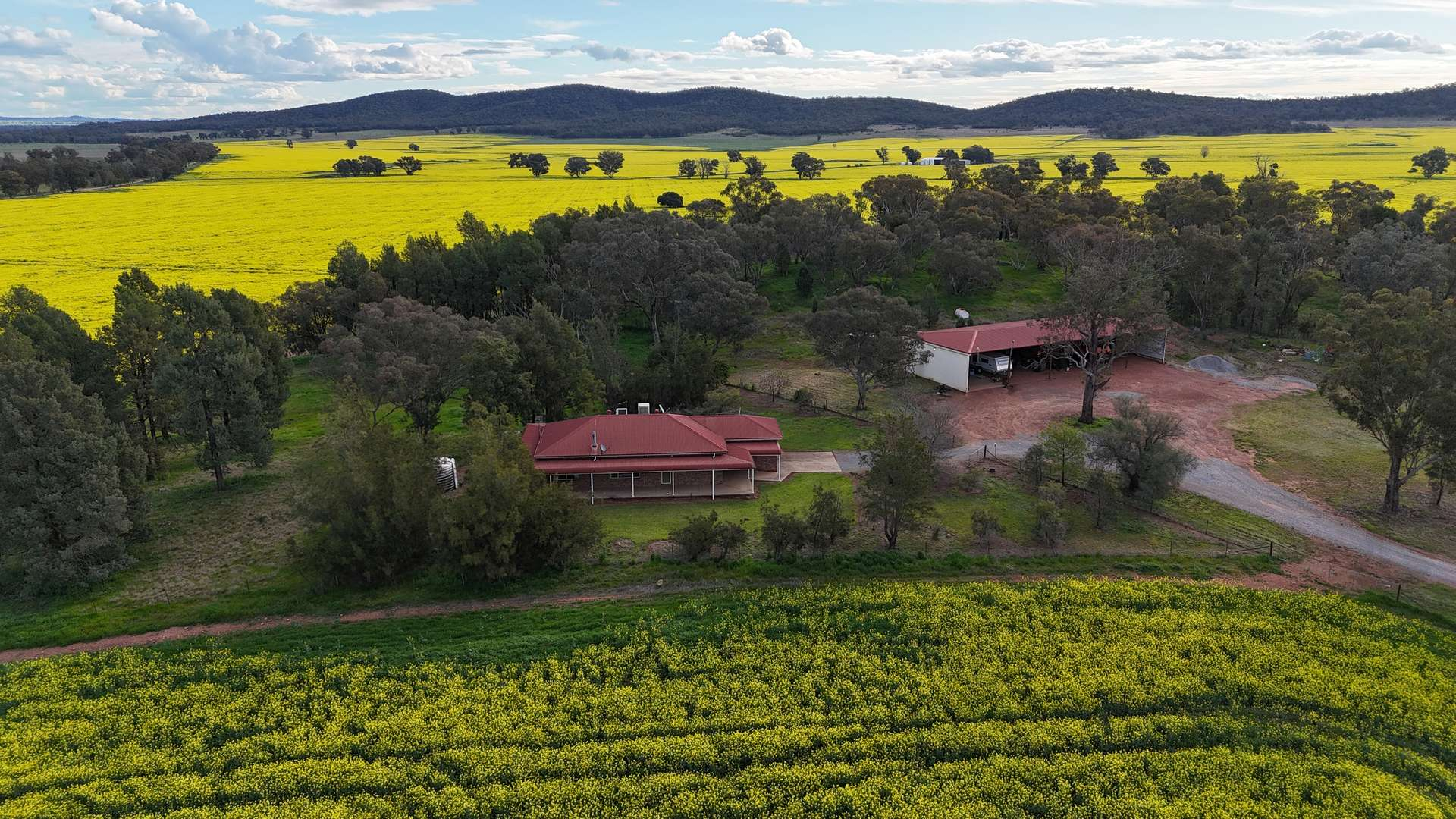 farm for sale NSW 