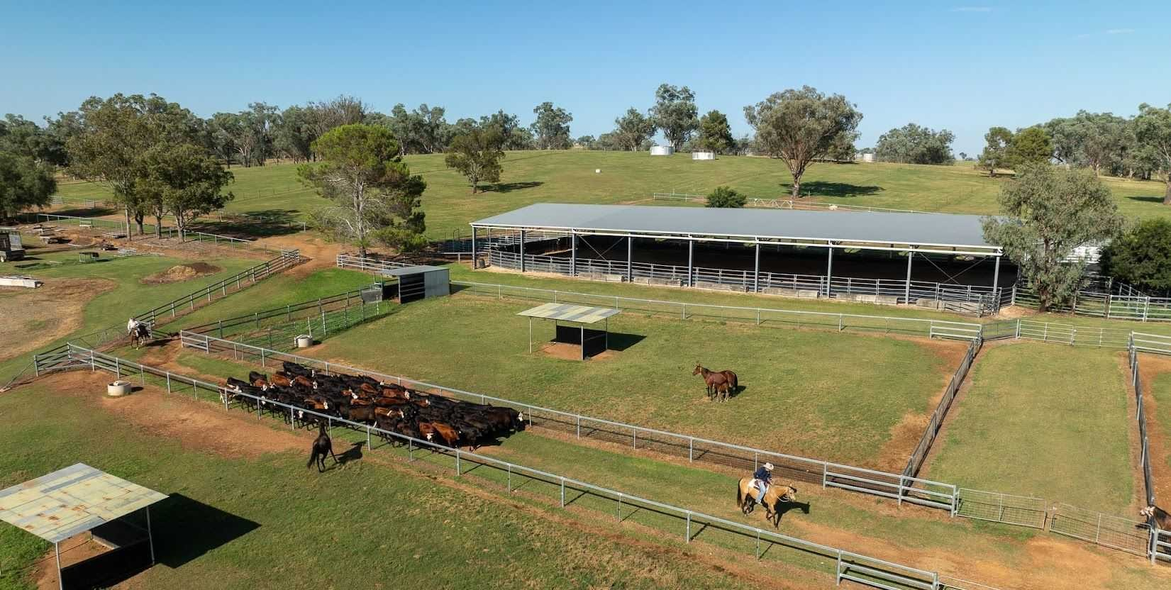 horse property for sale NSW