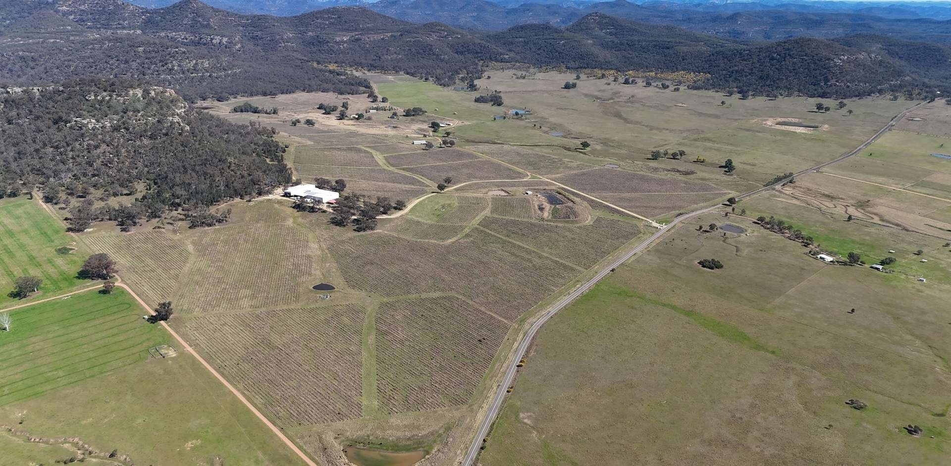 winery for sale NSW