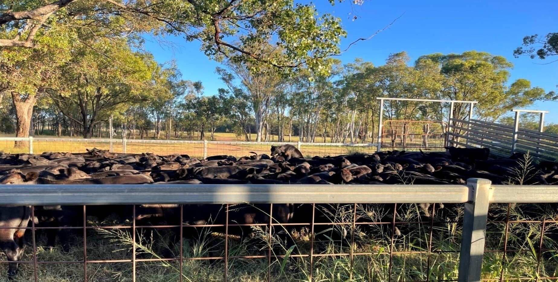 Rural Property For Sale QLD