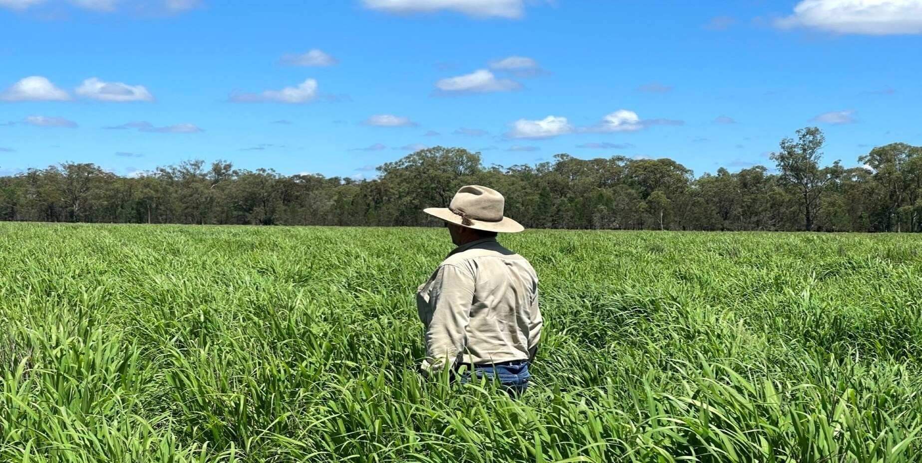 rural property for sale QLD