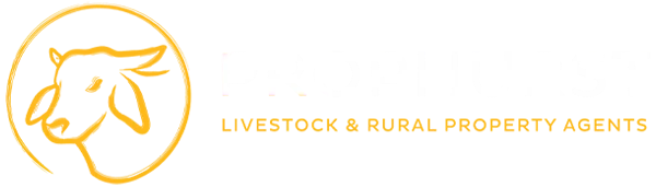 Prophurst Livestock & Rural Property Agents Logo
