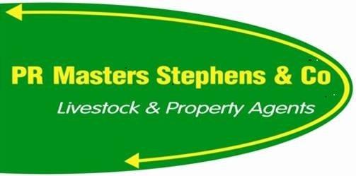 PR Masters Stephens & Co Logo